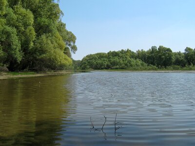 Spring wood lakeside photo