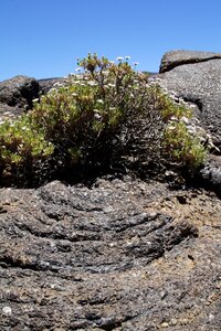 Rock formations tenerife canary islands photo