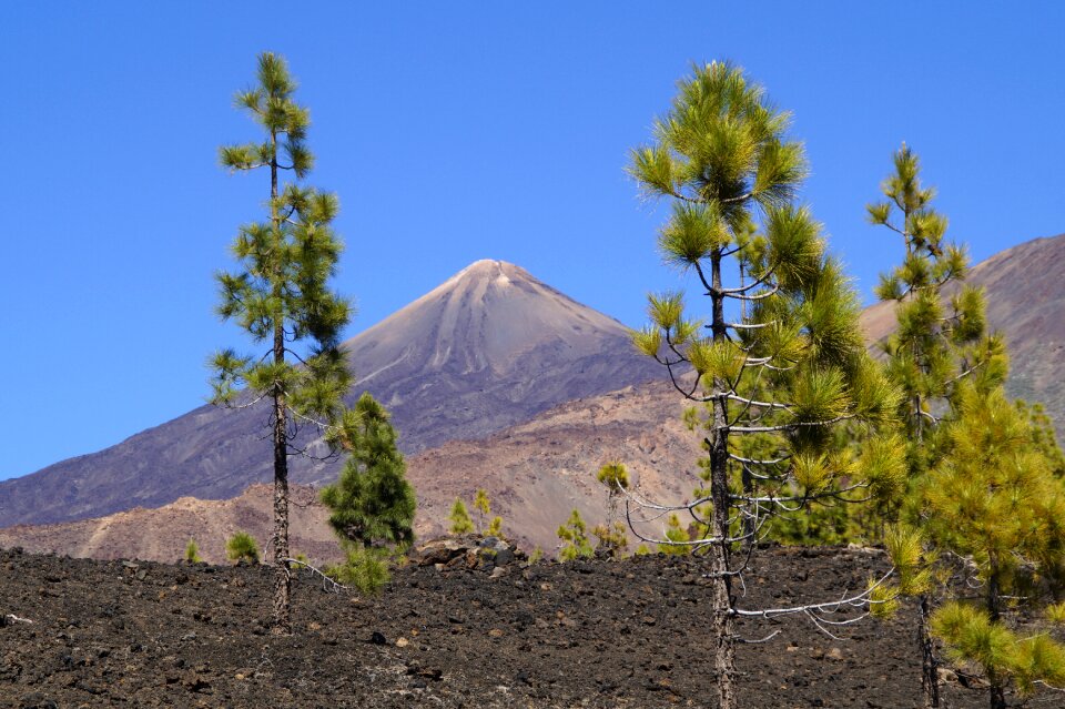 Rock formations tenerife canary islands