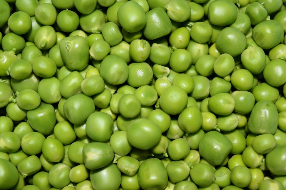 Green food healthy