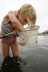 Blonde child young photo