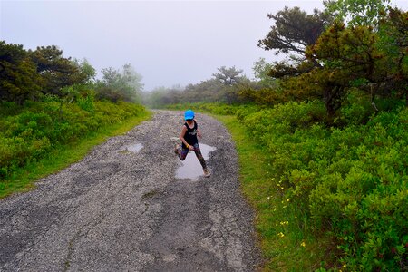 Trail road fog photo