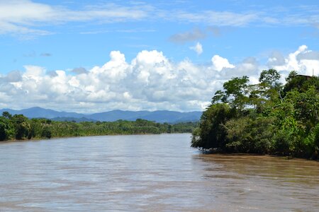 Jungle peru river photo