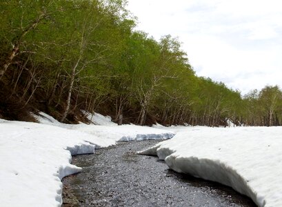 Greens meltwater creek