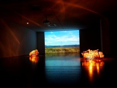 Exhibition international gallery Free photos