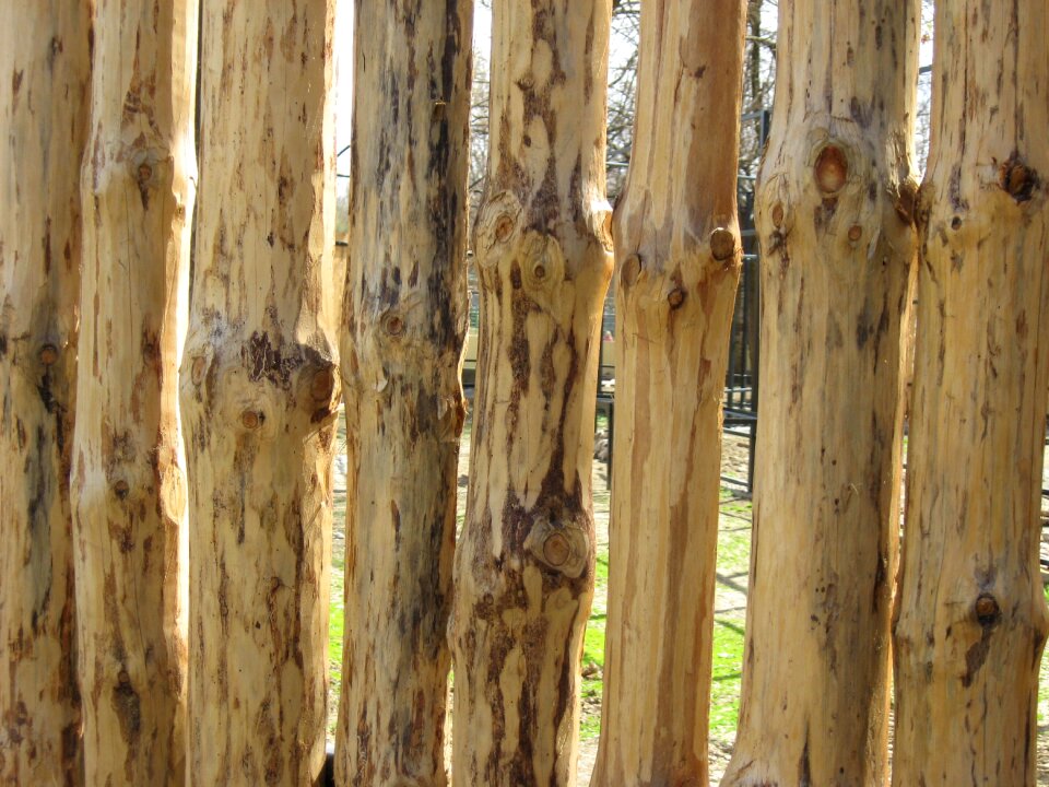 Wooden hardwood material