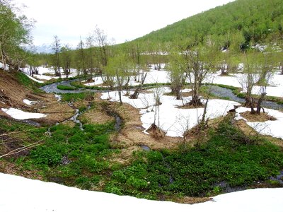 Greens meltwater creek