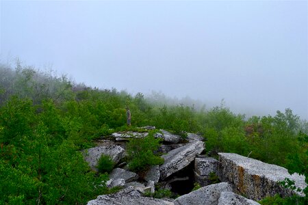 Mountain nature mist