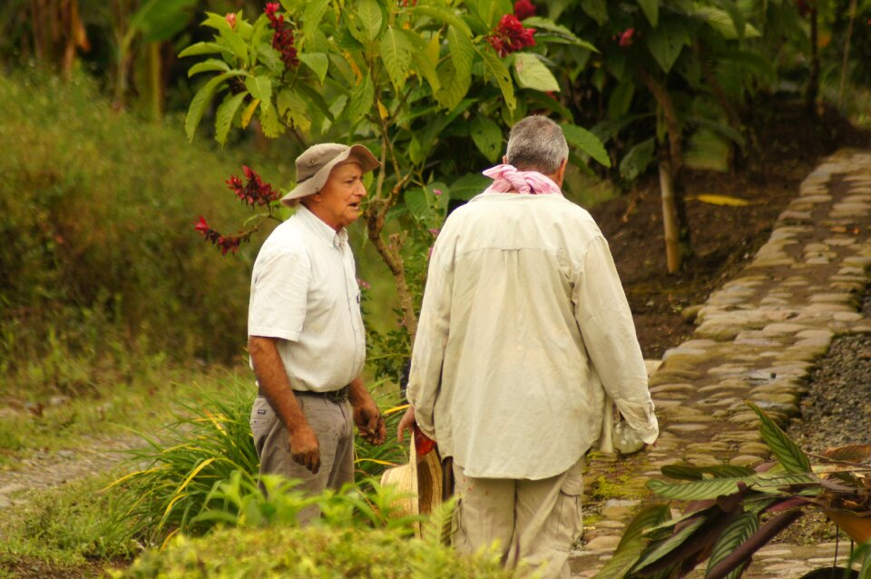 Colombia the field