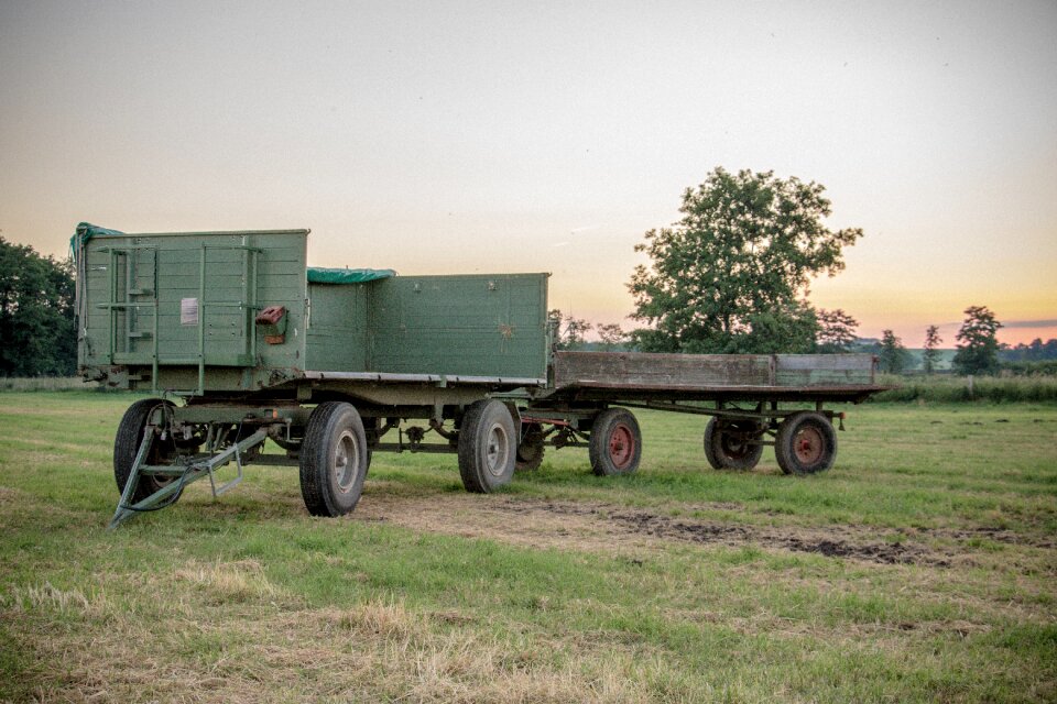 Green abendstimmung agriculture