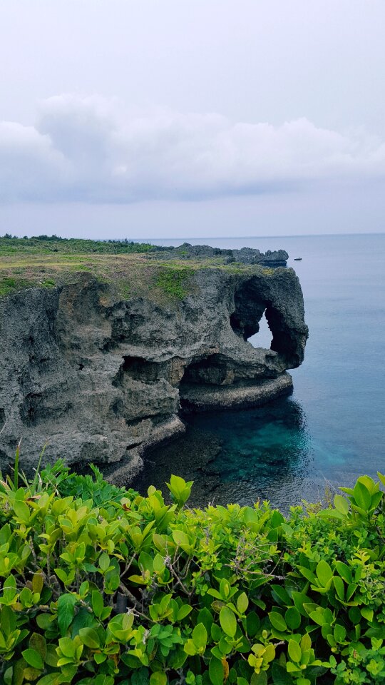 Nature wood okinawa prefecture