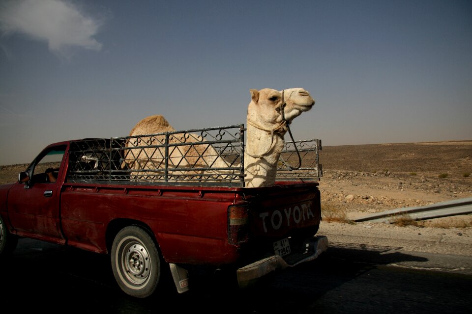 Desert middle east transport