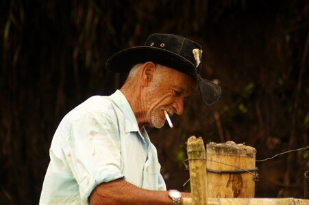 The india colombia