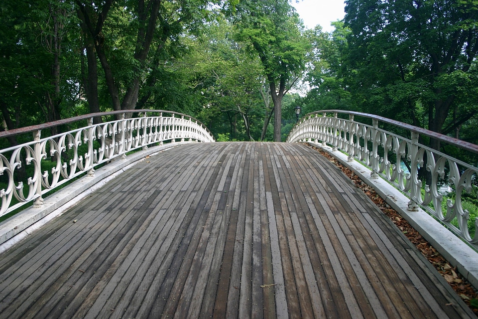 Manhattan trees path