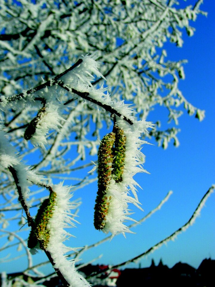 Winter cold frozen