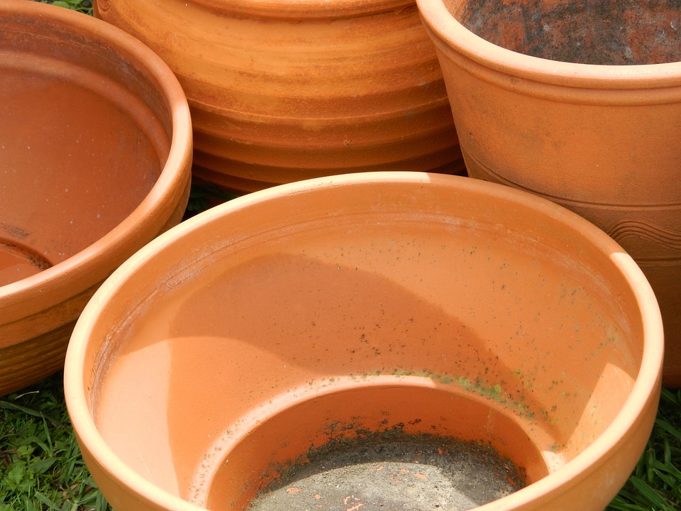 Garden gardening flowerpot