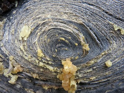 Tenerife circle resin