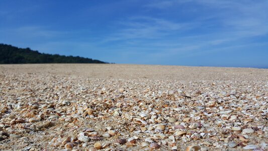 Shell spooning nature