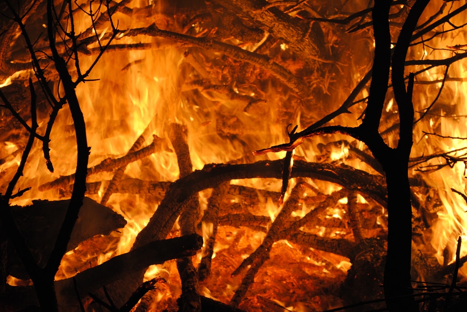 Wood fire brand embers