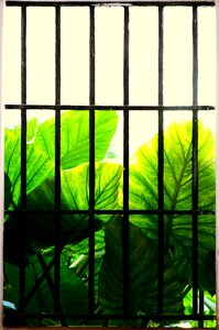 Seville dripping guanyin behind bars