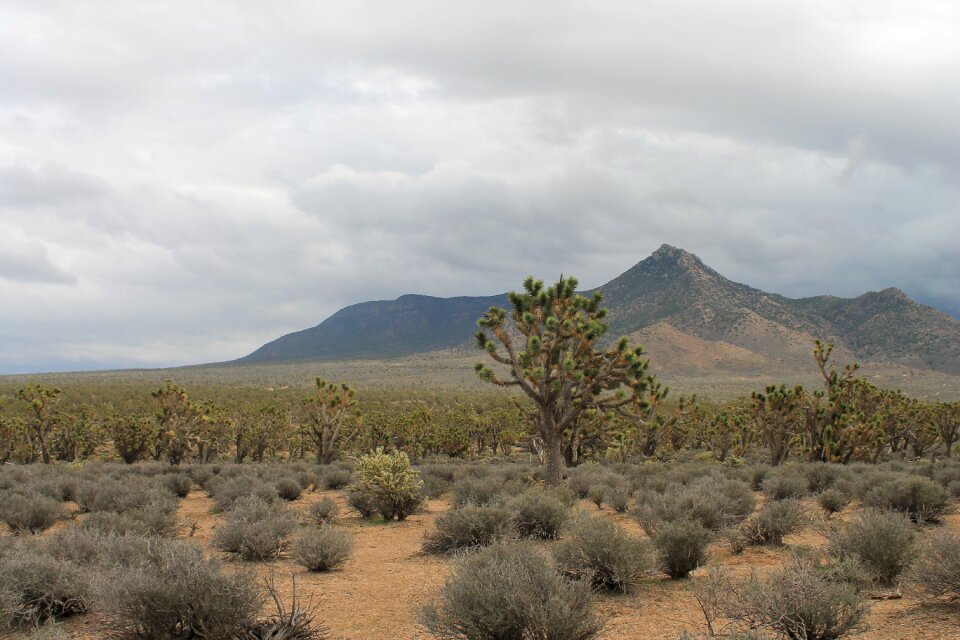Usa nevada america