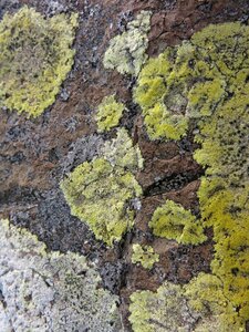 Weave gomera structure