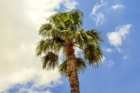 Clouds nature exotic photo