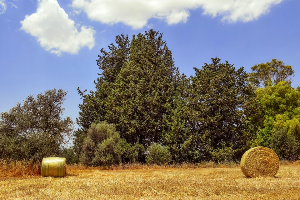 Straw agriculture countryside