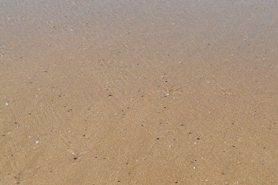 Beach sandy beach pebbles