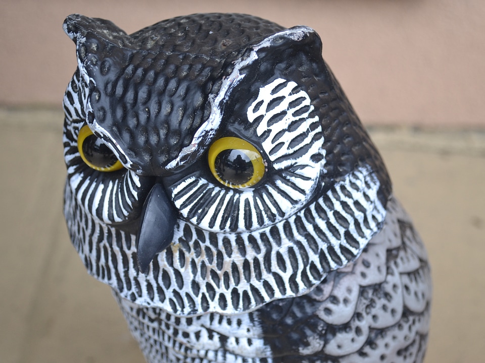 Plastic decoy artificial