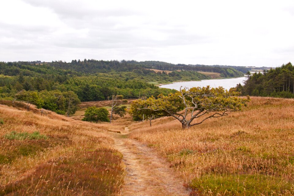 Path hills grass