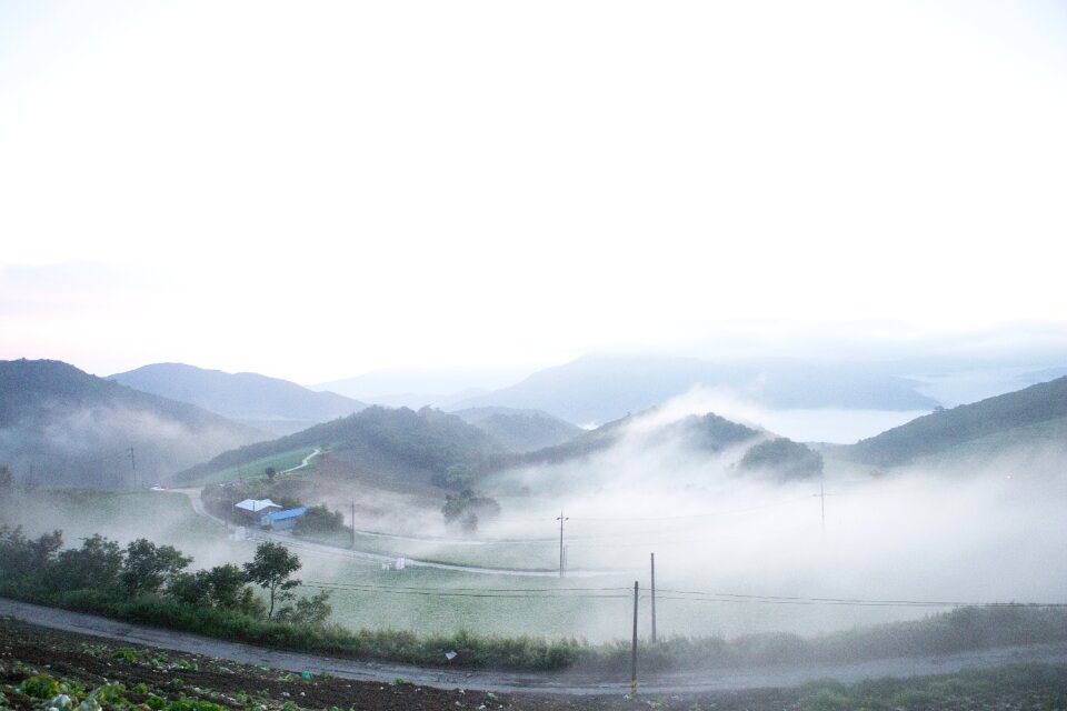Gangneung fog the cabbage garden