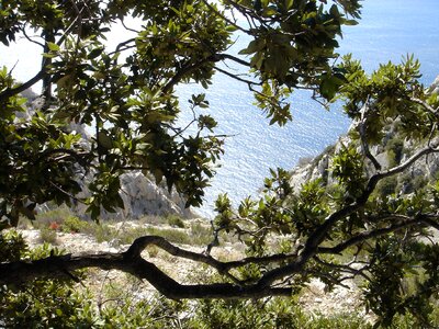 Mediterranean nature blue