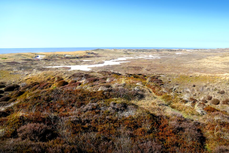 Nature landscape coastline