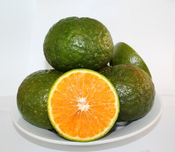 Cam sành orange oranges