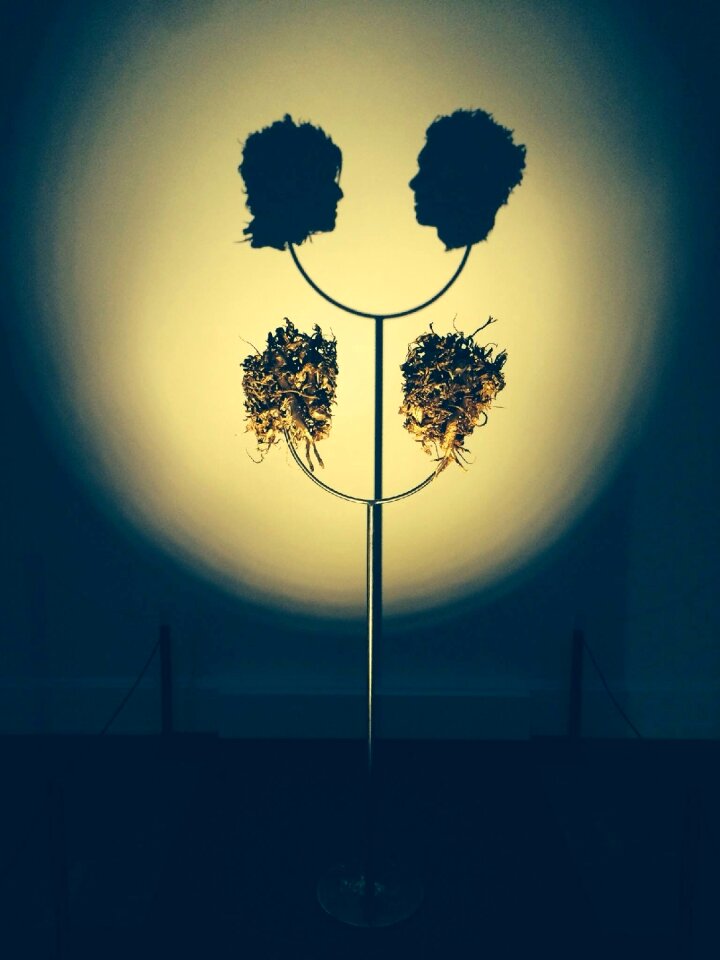 Artistic shadows light