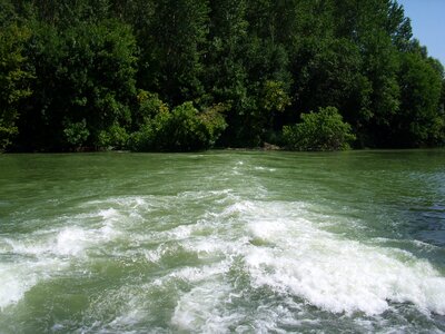 Stream water forest