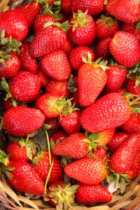 Strawberry red fruit