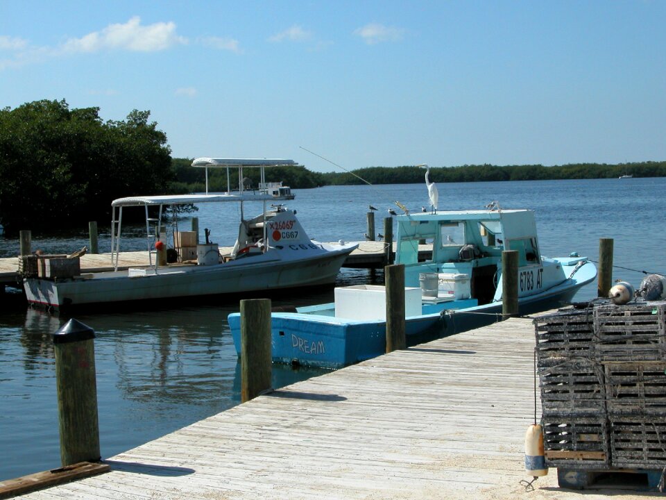 Business commercial fishing