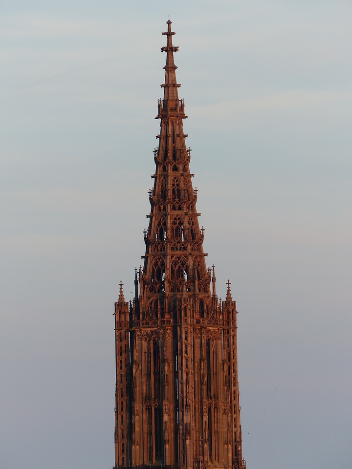 Münster dom cathedral