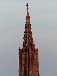 Münster dom cathedral photo