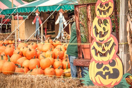 Fall halloween