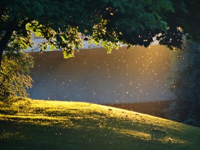 Abendstimmung evening light landscape