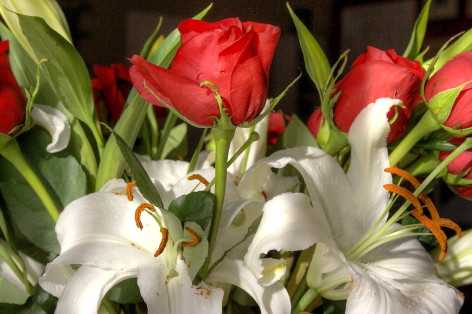 Lilies bouquet flower