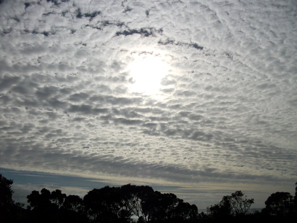 Sun nature sunlight