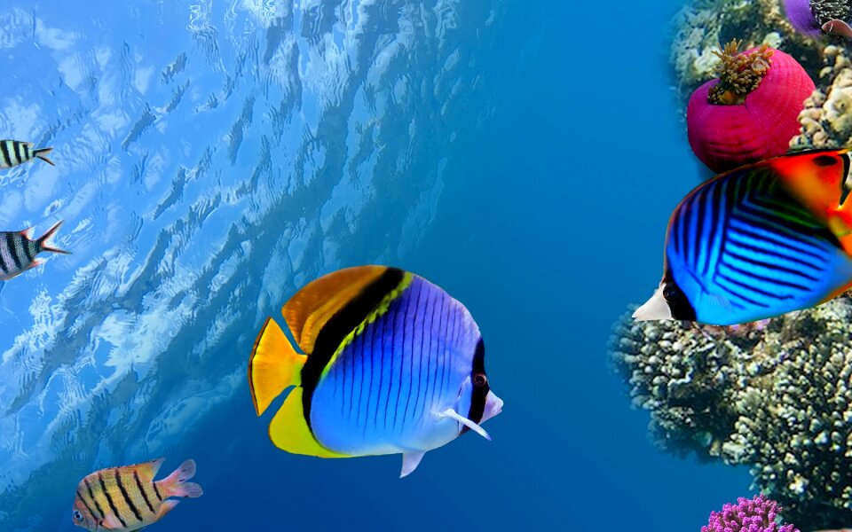 Amazing country travel destinations