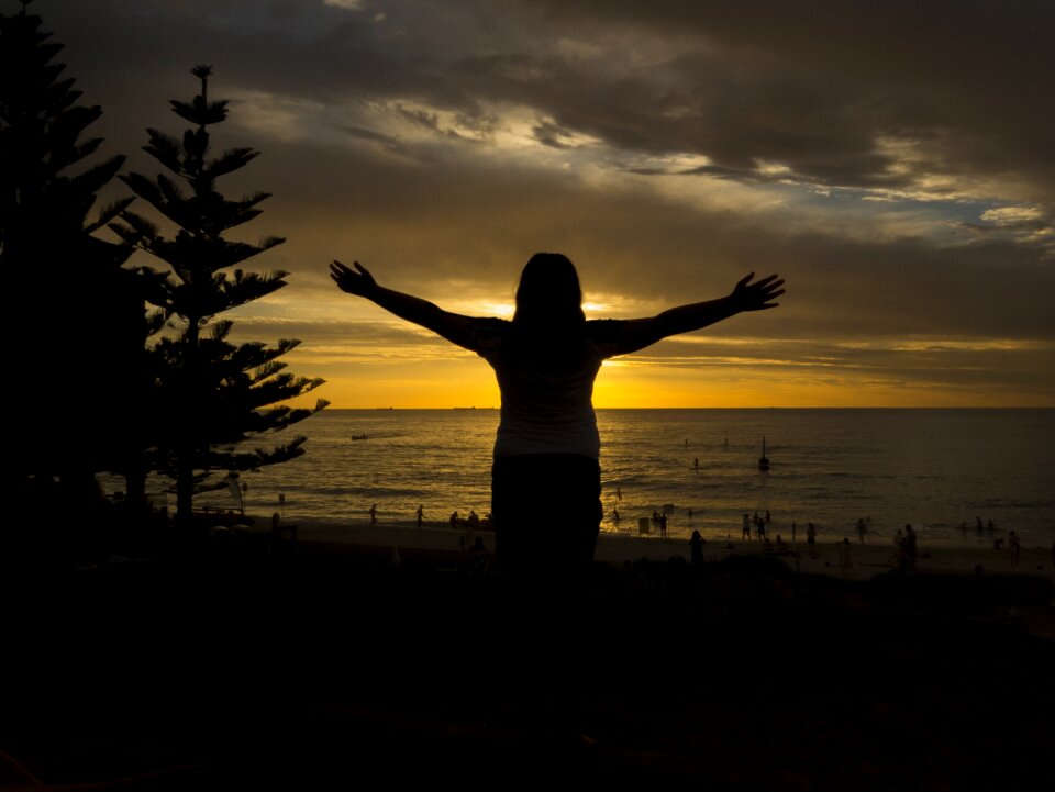 Sunset trees beach
