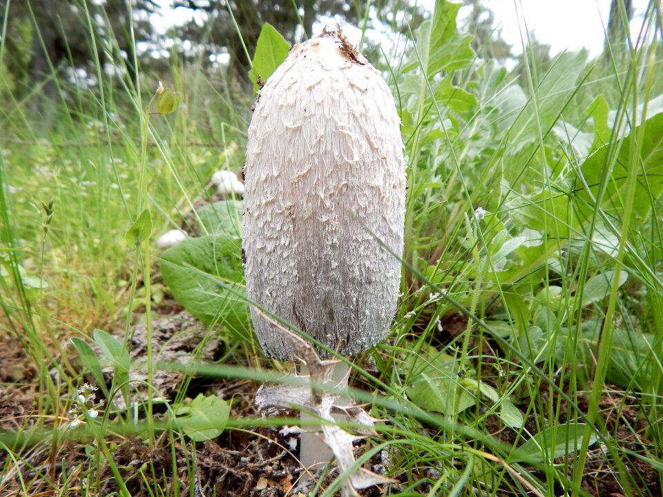 Nature underwood autumn