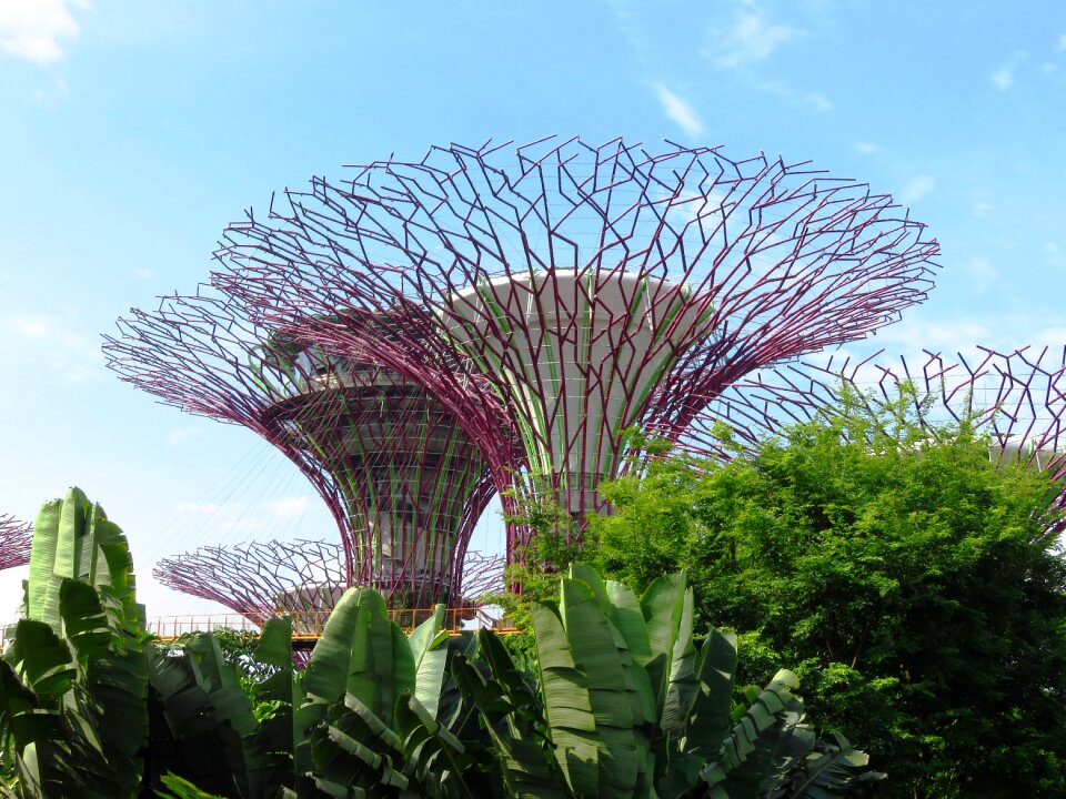 Tourism garden asia