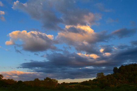 Field nature landscape